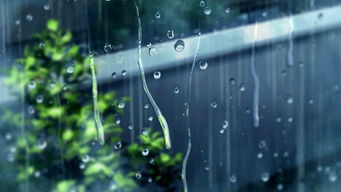 阿紫诗歌 听雨 朗读者 山峰