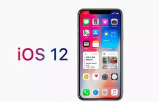 iOS12有哪些bug汇总介绍 有bug怎么办如何修复 