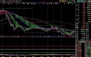 000100长期走势如何？
