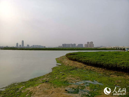 厦门下潭尾湿地公园车停哪个停车场近(翔安免费停车场)