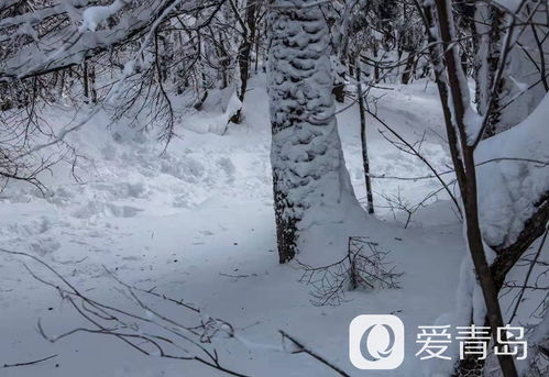 梦见地上有雪很滑（梦见地上有雪滑着玩） 梦见解

上有雪很滑（梦见解

上有雪滑着玩） 卜算大全