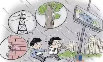 台风天,天利仁和物业用心守护您的家园