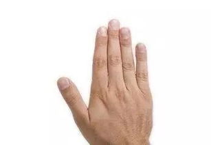 伸出手看一下,食指和中指都会告诉你,肝脏是否处于健康状态 