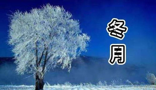 昨日冬月初一,农谚 初一有风多疾病,更兼大雪有灾魔 ,为啥这样说