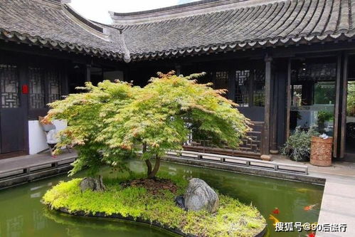上海又一民宿走红,占地2000平米,取名一尺花园,曾是一座四合院
