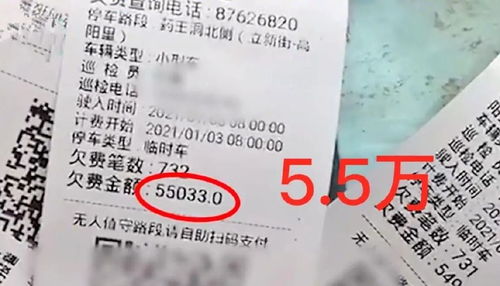 车辆停路边停车费欠732笔5万多元,需要偿还吗 (免费车位咋成了内部停车场)