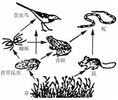 下列描述中.属于遗传现象的是 A.种瓜得瓜.种豆得豆B.一树结果.酸甜各异C.一母生九子.连母十个相D.橘生淮南为橘.生淮北则为桔 题目和参考答案 青夏教育精英家教网 