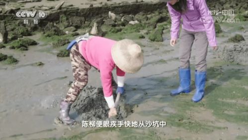 湛江再上央视 这次带你看看湛江人是如何 靠海吃海