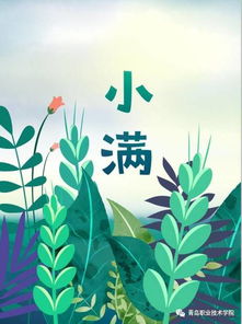 小满 江南沃野过插秧,江北麦麸便灌浆 