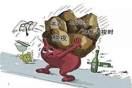 注意,这7个因素,都在损伤着盆底