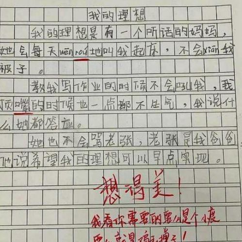 小学生作文 我的理想 火了,脑回路清奇,老师看后哭笑不得