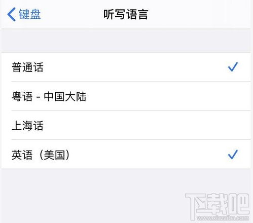 iPhone11为什么语音输入不了(苹果11语音输入没反应)