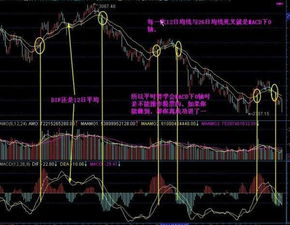 说说三支近期你比较看好的股票，并说明理由。