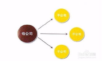 浅谈母公司如何监控子公司财务