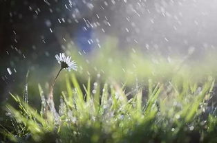 起个带雨字的名字（带雨字的好听名字）