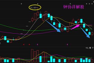 大港股份这个股票近期怎么样