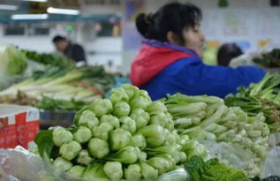 北京蔬菜供应地转换,蔬菜价格呈上涨趋势,能持续多久