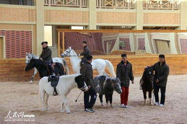 朝鲜马场上的时髦婚礼 骑马拍摄结婚照成民众新宠 十八 