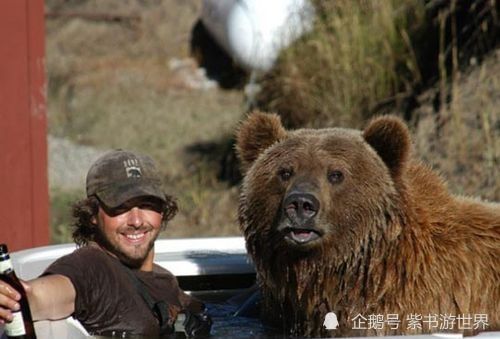 他和棕熊生活13年,最终却成熊的盘中餐,死前6分钟录音为何禁播