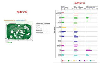 准备国自然基金,这两个数据库好用到爆 