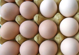 消费增加 山西大同鸡蛋价格小幅上涨
