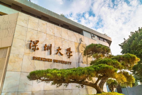 深圳的本科大学有哪些学校