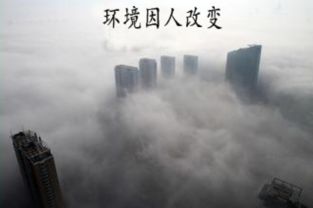 哈尔滨最近雾霾怎么回事(2021哈尔滨雾霾原因)