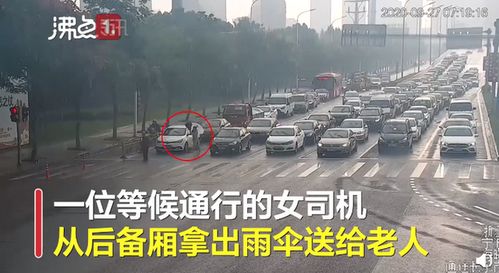 宁波路口信号灯摁下 暂停键 绿灯为过马路老人多亮了97秒