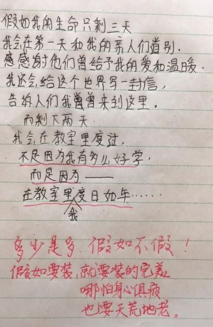 小学生作文, 给爸爸的一封信 火了,老师 多看看成语故事