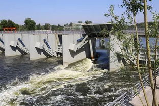 通州2道拦河闸首次落闸蓄水,增添400余亩水面,还吸引了它们... 