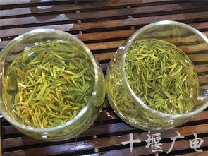 新茶和保鲜茶区别(新茶怎样保鲜)