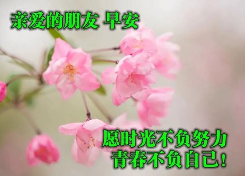 春暖花开,春回大地的早安问候美丽图片,充满希望的早上好祝福语