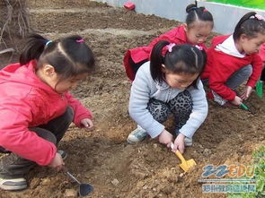 开辟种植园地,丰富幼儿种植经验 