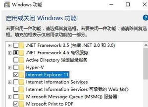 win10ie11安装提示框