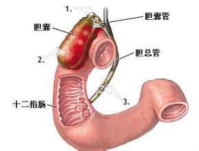 肝癌转移淋巴有必要治吗 治疗效果如何能活多久