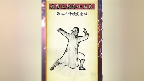 武当太极拳十三式,张三丰传授完整版教学 太极拳 居家锻炼 传统文化 