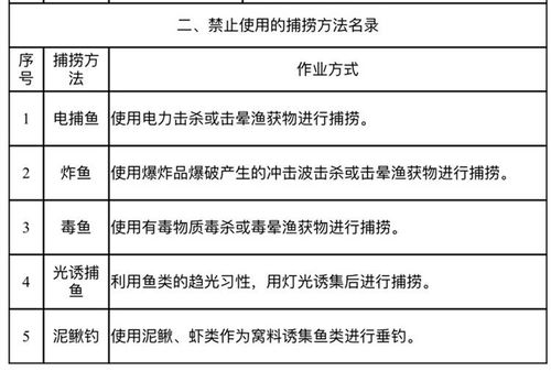 查重时去掉哪些部分？让我们告诉你答案