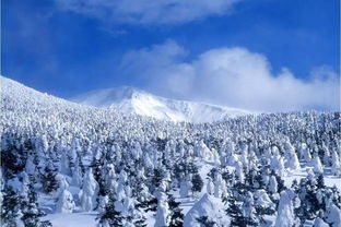 中国最美的雪景,东北已经可以去了,南方的雪景还会远吗