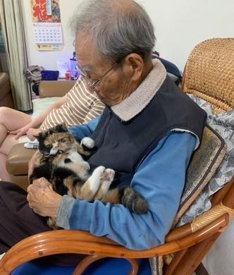 主人带猫给九十八岁爷爷贺寿,爷爷与猫一见如故,甚至想把它留下