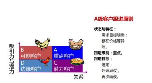 营销 房地产案场销售绝技之客户跟进技巧