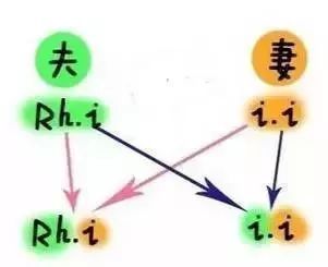 6次怀孕,5次胎死腹中,原因竟是夫妻 血型不合