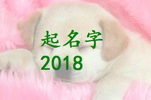 2018狗年阳光帅气的卞姓女孩宝宝起名