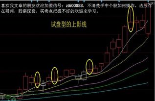 为什么绝大部分散户做短线都会亏钱