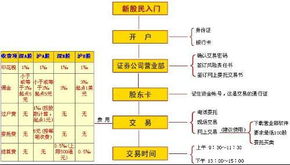 谁能给我说说怎么开设股票账户，最低开户得多少钱？