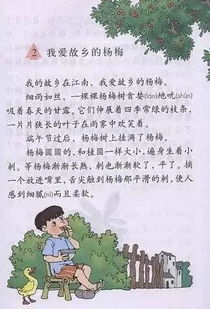 厦门人,这是你小学课本中一说到就会咽口水的美味