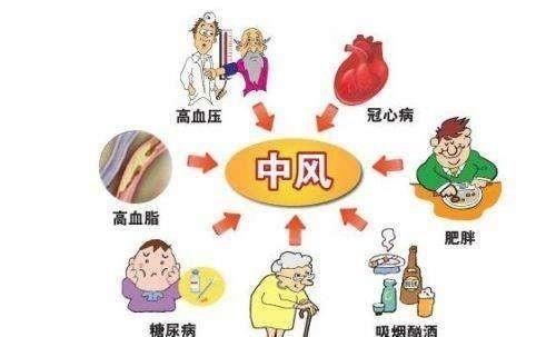 辟谣 脑梗患者能吃三七来治疗 医生说 全面的治疗才是有效的