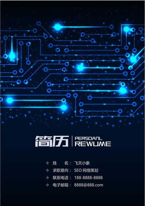 SEO网络策划简历模板 