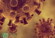 甲型h1n1流感的症状？甲型H1N1流感的症状有哪些