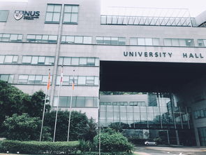 新加坡国立大学留学条件,留学新加坡国立大学需要哪些条件