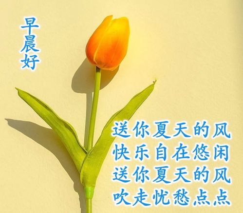 祝福两口子幸福美满的句子